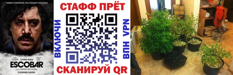 Что такое Рыбинск Конопля ОМГ ОМГ ТОР ГАШИШ Меф мяу мяу СК Лсд 25