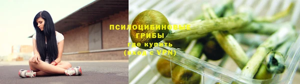 сатива Володарск