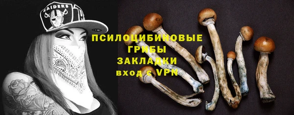 сатива Володарск